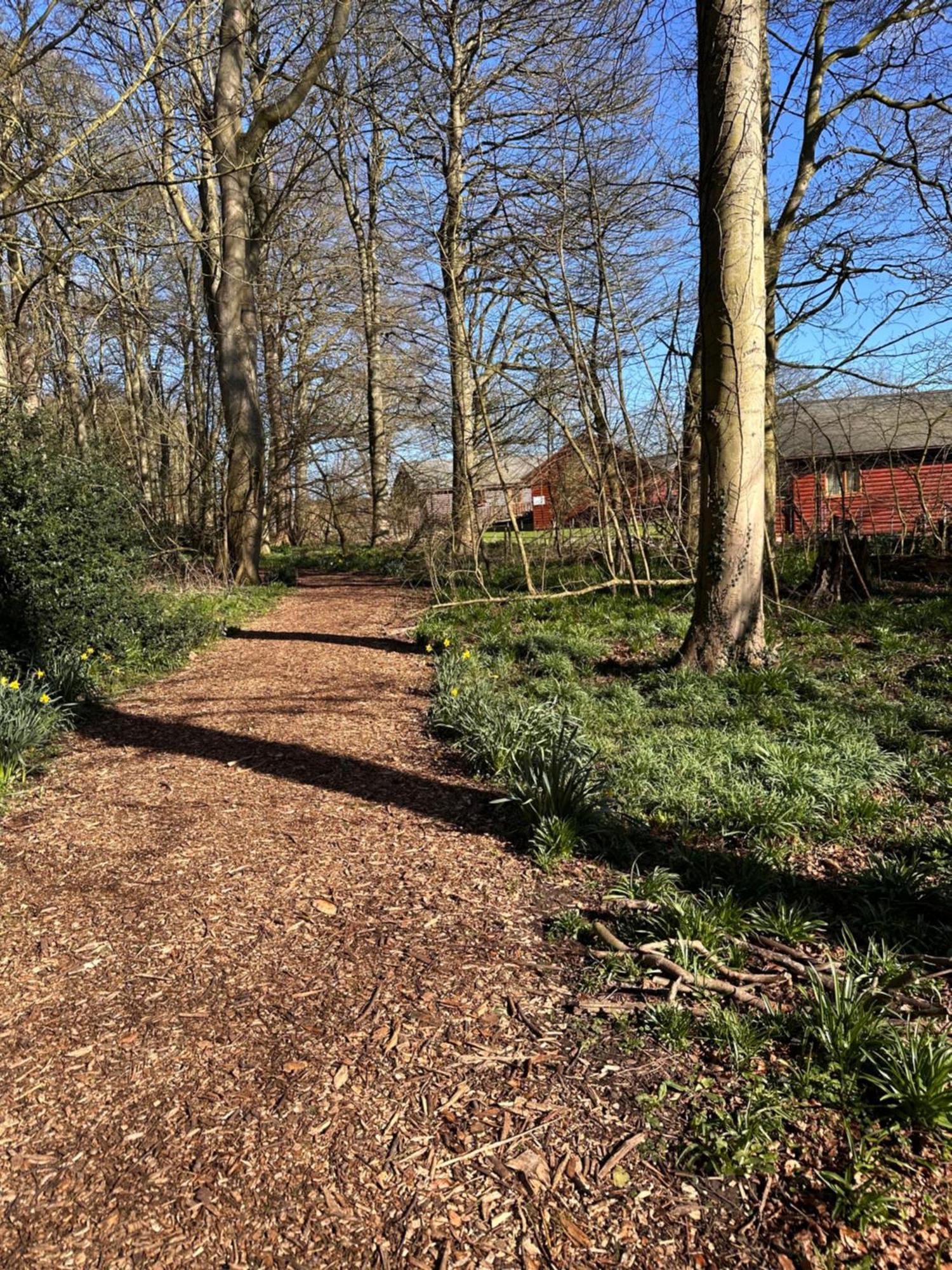 Max'S Woodland Lodge Bridlington Exterior foto